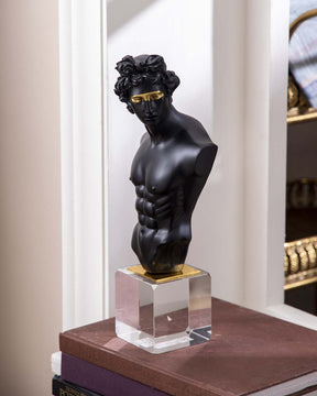 Michelangelo David Bust on Glass Cube - Black - The Decor Kart