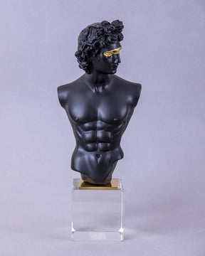 Michelangelo David Bust on Glass Cube - Black - The Decor Kart