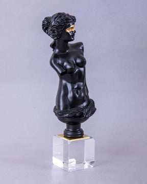 Venus de Milo Bust on Glass Cube - Black - The Decor Kart