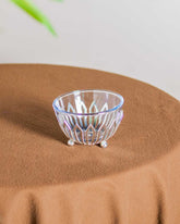 Flare Bowl With Borosil Glass - Large