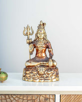 Divine Lord 'Shiv Shankar' Table Top Sculpture