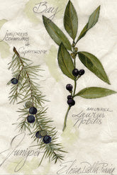 Bay Leaf And Juniper