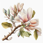 Oriental Magnolia Flower