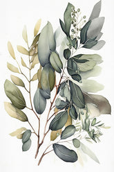 green eucalyptus leaves